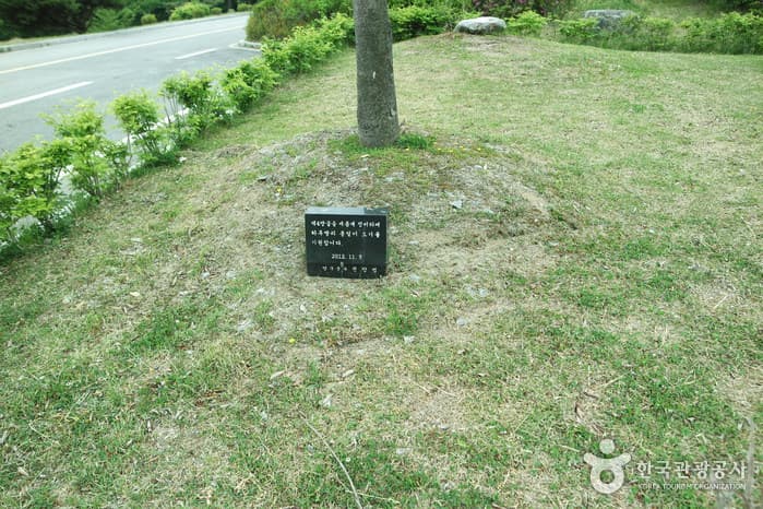 강원_양구_제4땅굴12