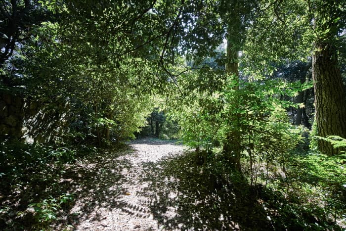 한국문화정보원_금산공원(납읍난대림지대)_006 