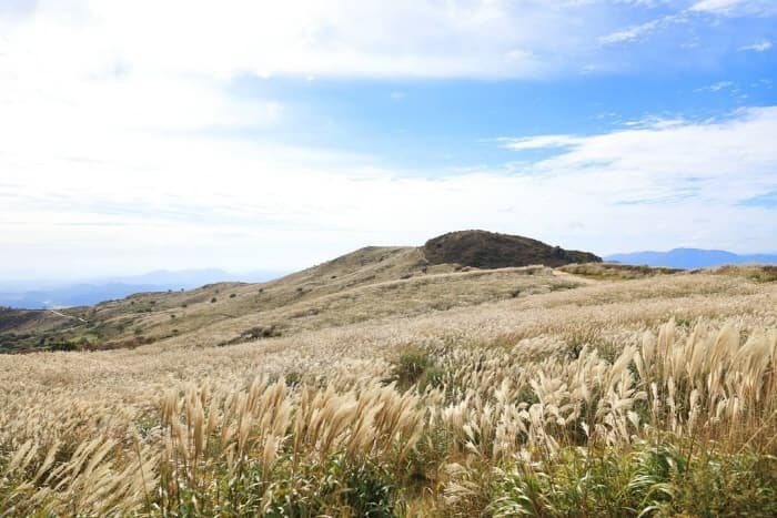 황매산군립공원(3)