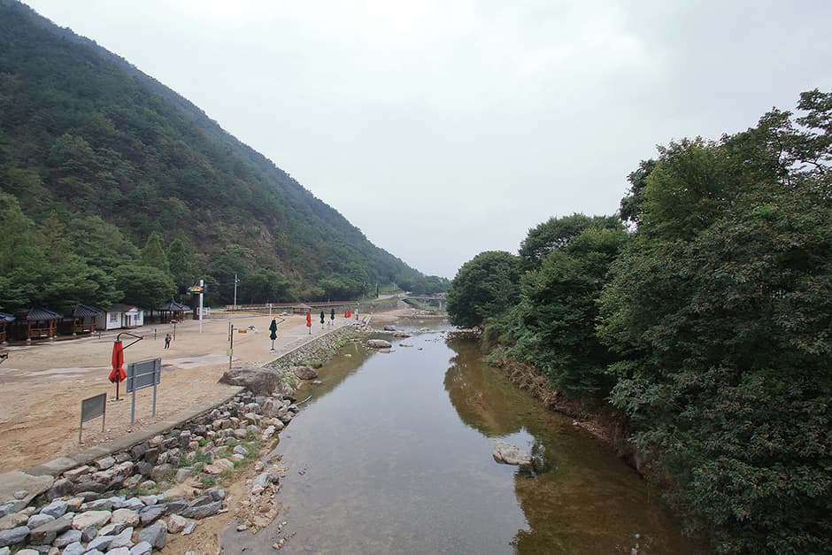 장령산자연휴양림야영장_물가