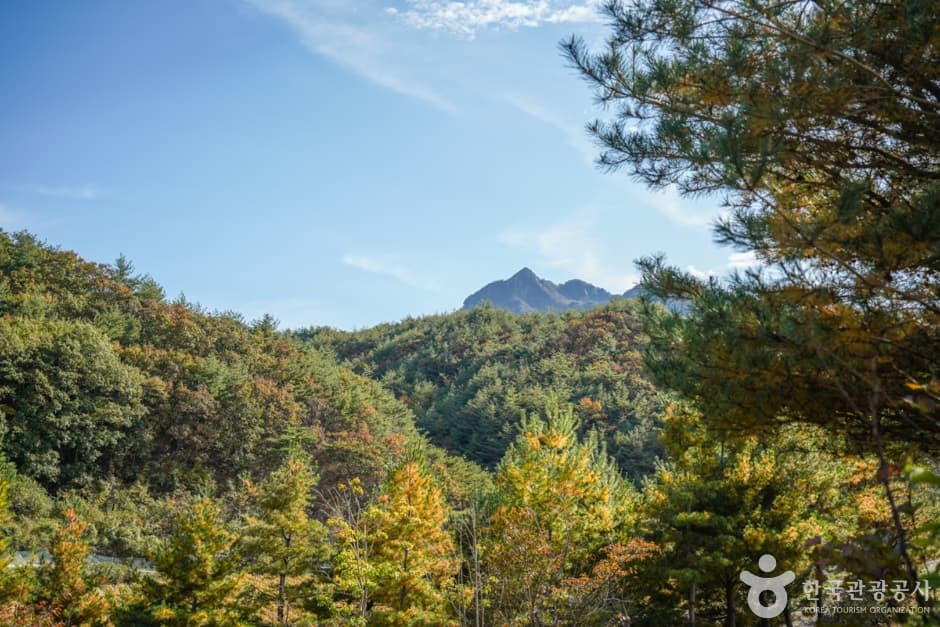 경북_문경_대야산 (7)