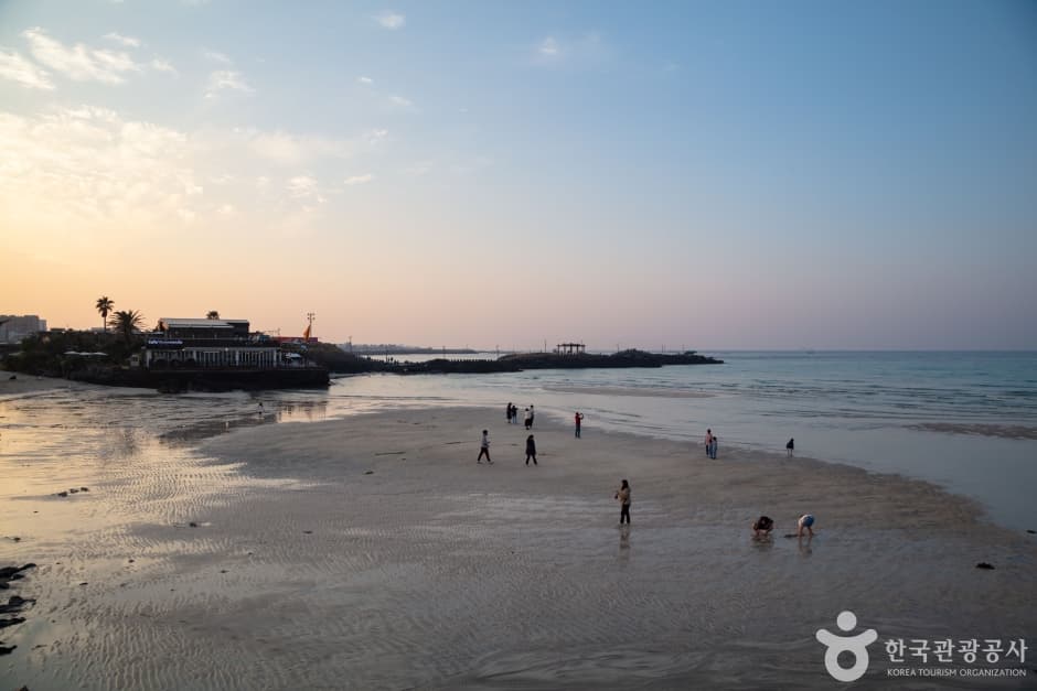 함덕 서우봉 해변 (함덕해수욕장) (7)