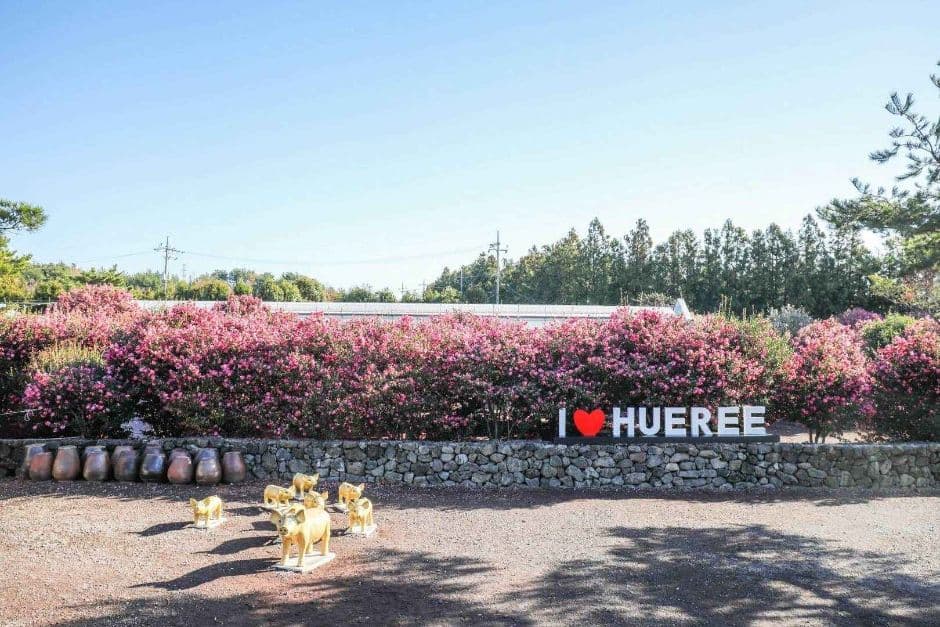 제주_휴애리자연생활공원 (9)