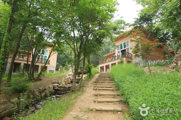 좌구산 자연휴양림 산림욕장_33