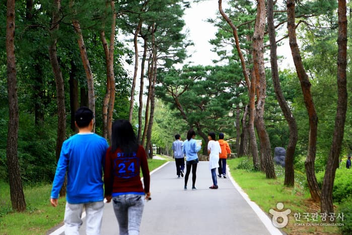 물향기수목원45