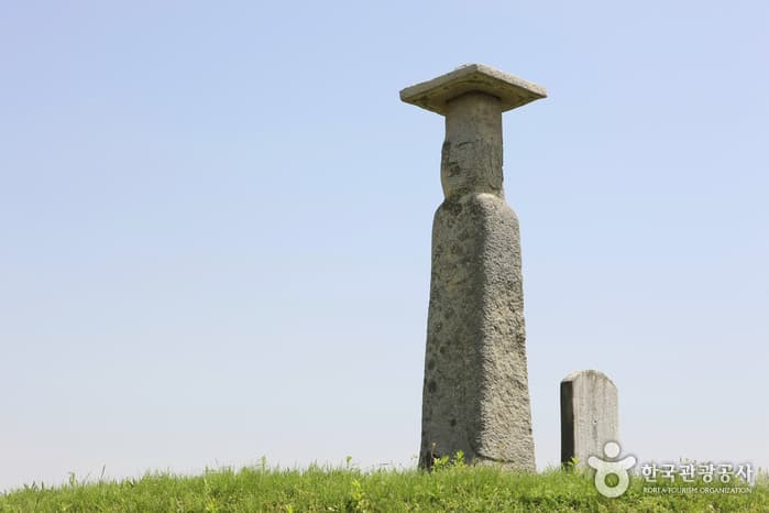 전라북도_익산시_익산 고도리석불입상_006