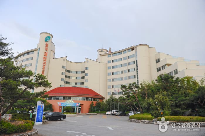 설악파인리조트