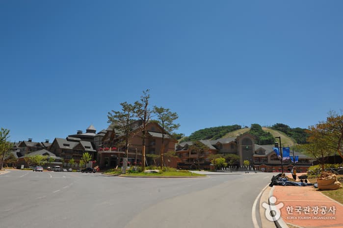 알펜시아리조트