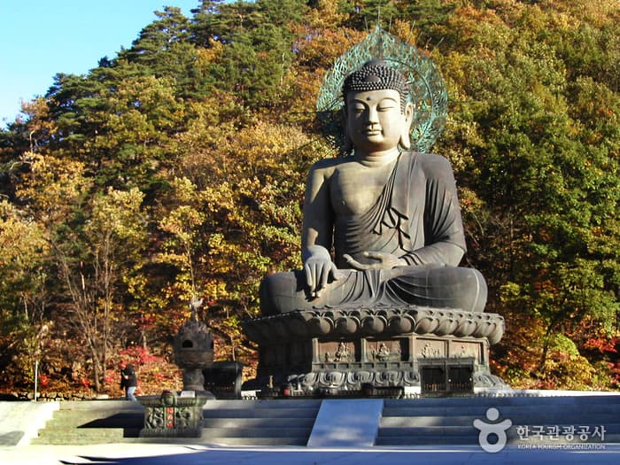 신흥사_좌불
