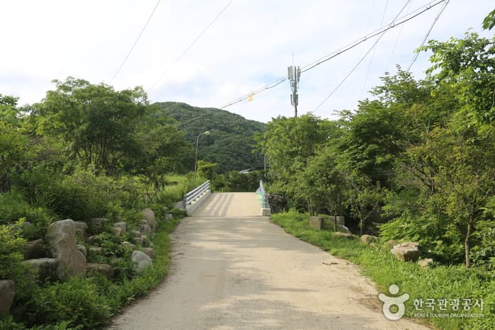 강원_인제_곰배령04