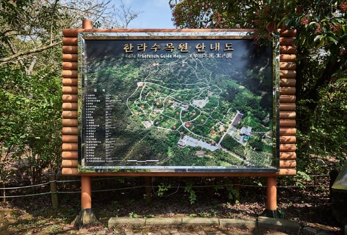 한국문화정보원_한라수목원_009