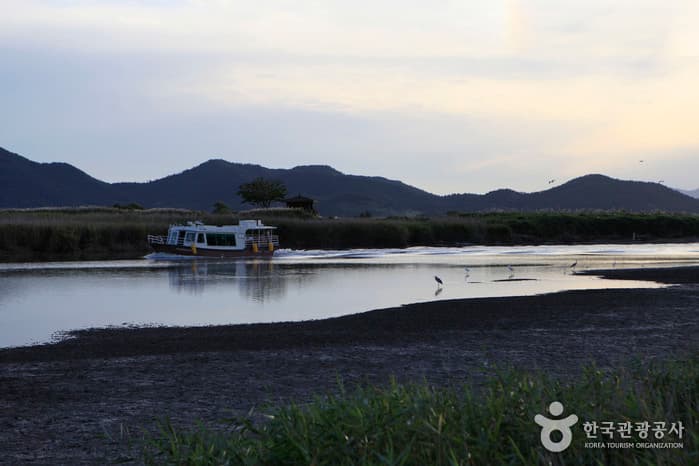전남_순천_눈물이 나면 가을 순천에 가라_11