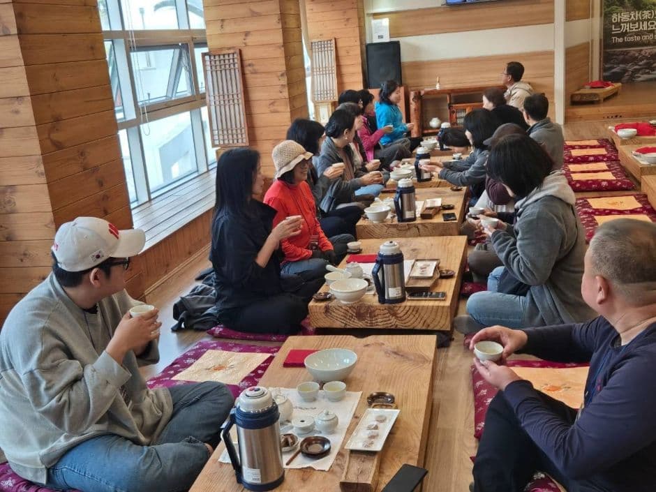 241114_하동_야생차박물관_입구 (28)