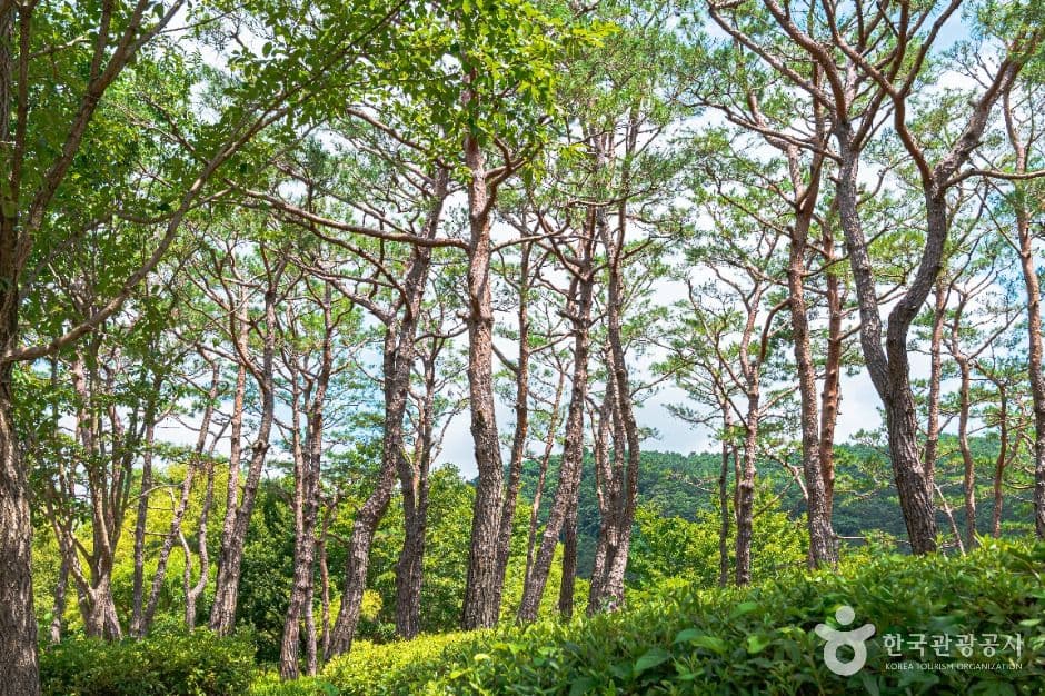 광주_광주호 호수생태원 (2)