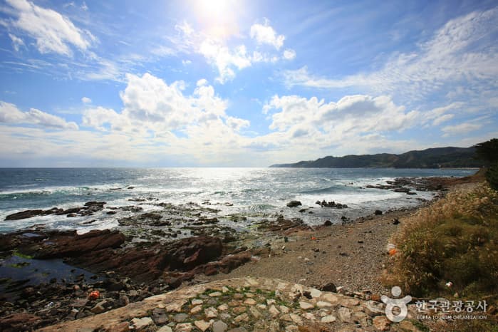 대게원조마을_019