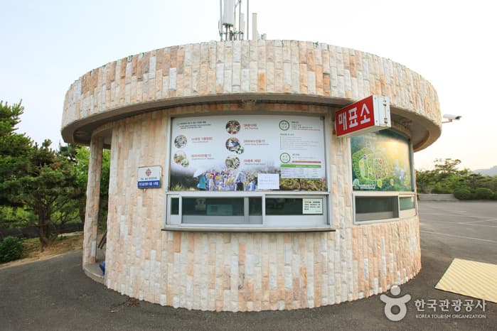 울산광역시_동구_울산테마식물수목원_007