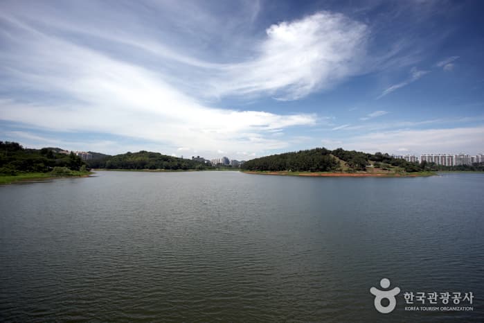 전북_군산_은파호수공원에서 즐기는 군산의 낮과 밤05