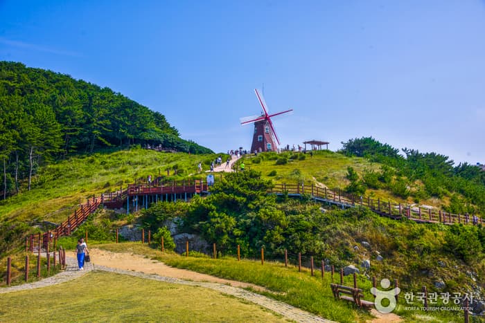 거제 바람의 언덕_산책길2