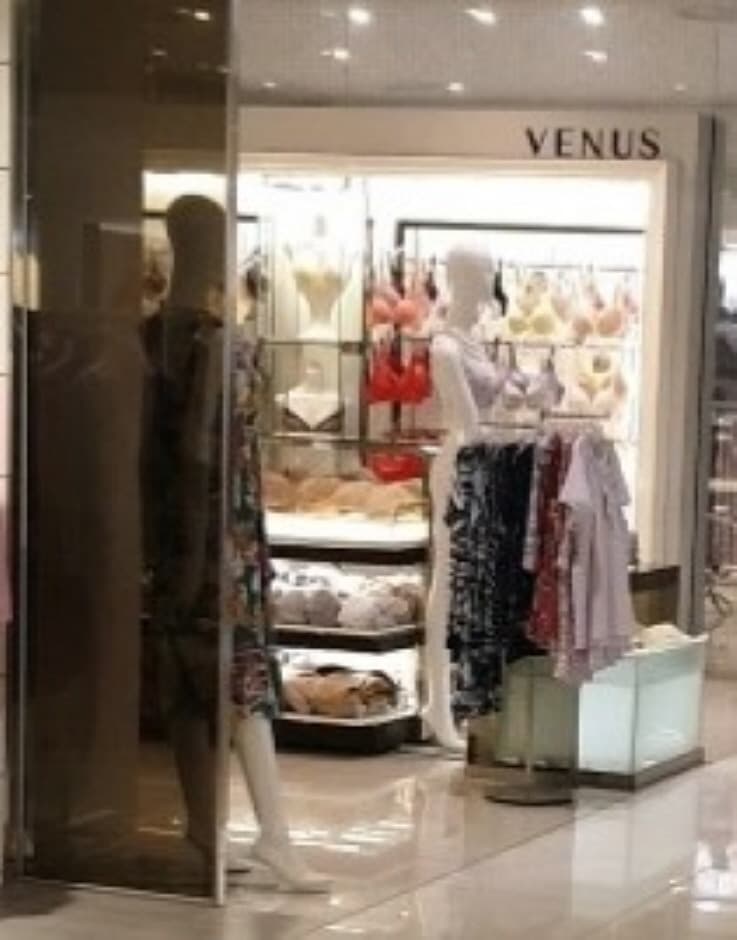 Venus [Tax Refund Shop] (비너스)