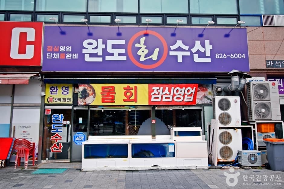 대전 완도회수산 (1)