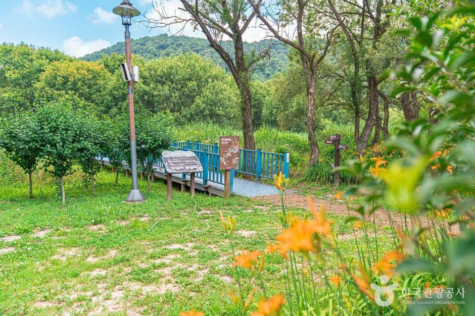 광주_광주호 호수생태원 (3)