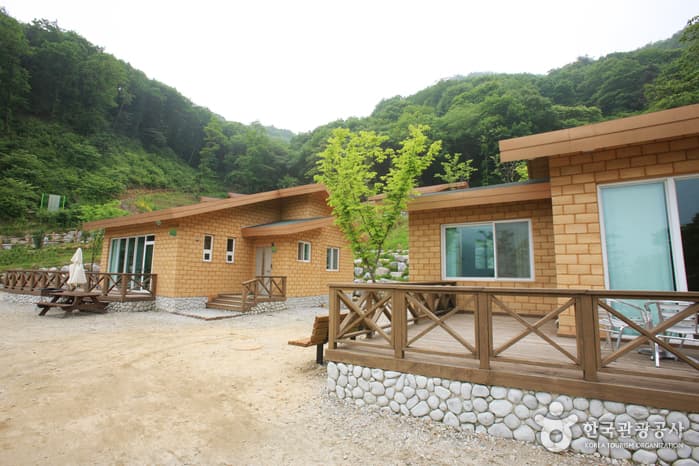 좌구산 자연휴양림 산림욕장_83