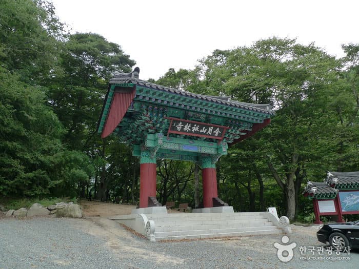 경주 기림사 (1)