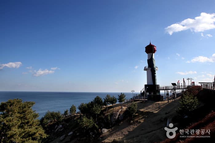 경북_영덕 해맞이캠핑장 10