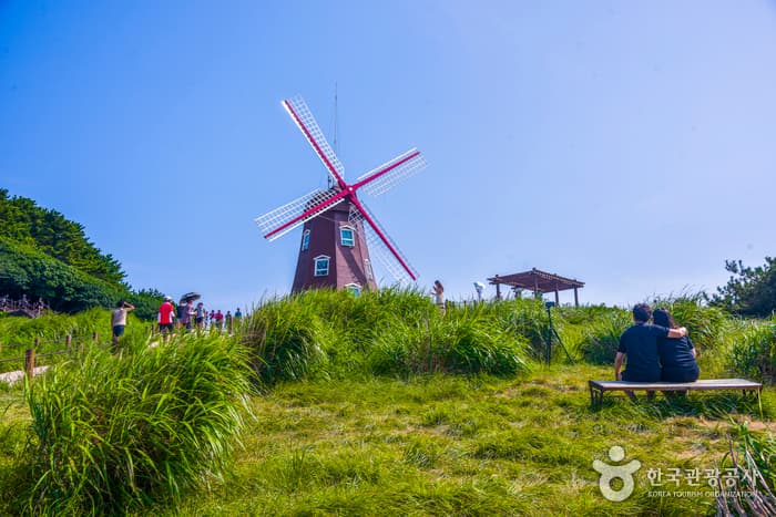 거제 바람의 언덕_산책길3