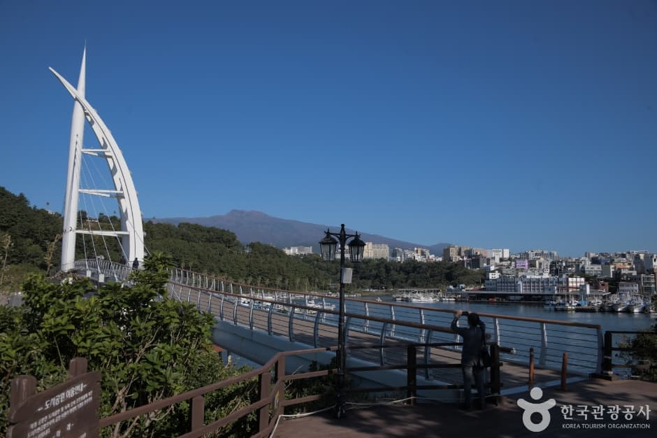 새섬 새연교 (5)