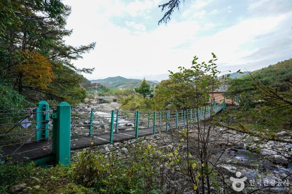 경북_예천_예천 출렁다리마을 (9)