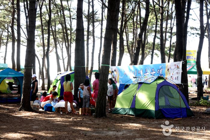 고사포해수욕장_03