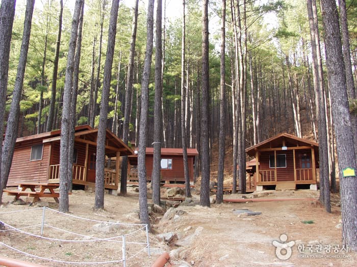 백운산자연휴양림_메인