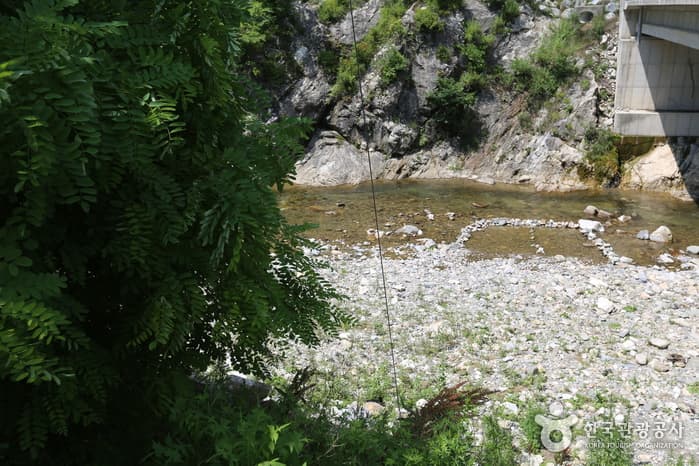 강원_영월_어라연 일원03