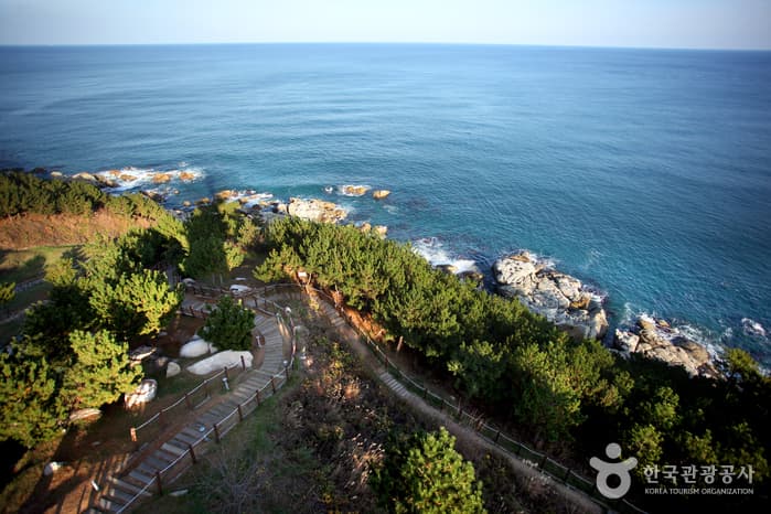 Yeongdeok Sunrise Park (영덕 해맞이공원)