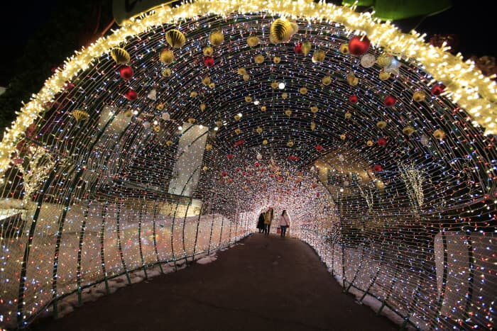 쁘띠프랑스 어린왕자 별빛축제 2018(3)