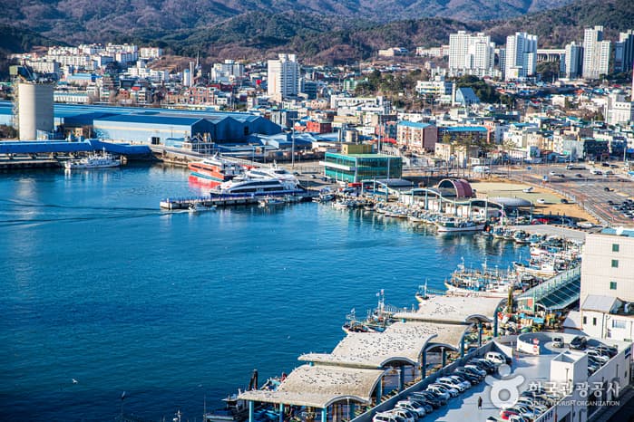 Mukhohang Port (묵호항)