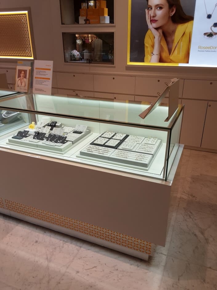 로제도르 현대동대문_3