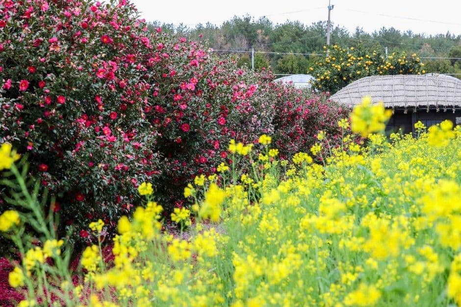 제주_휴애리자연생활공원 (13)