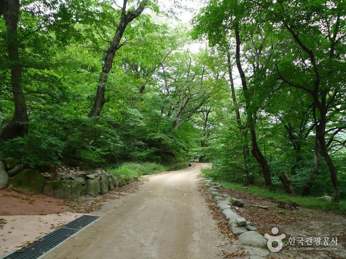 경주 기림사 (2)