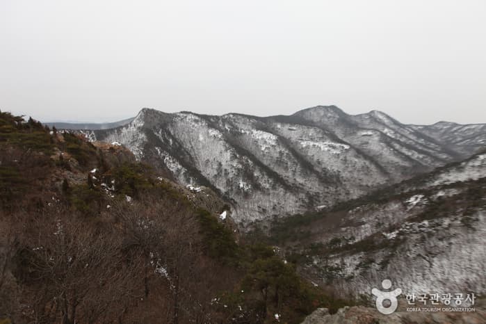 전북_고창_선운산도립공원34