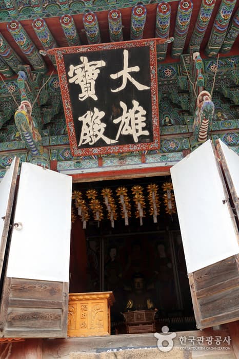 전남_해남_명품 숲길을 따라 걷는 힐링의 시간07