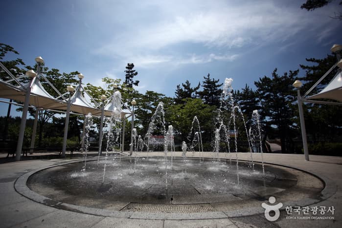 전북_군산_은파호수공원에서 즐기는 군산의 낮과 밤08