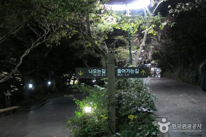 제주_서귀포_천지연폭포03