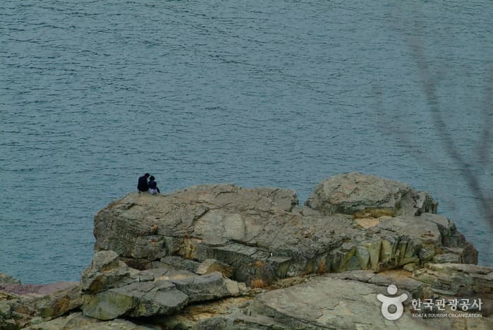 신선대전망대_05