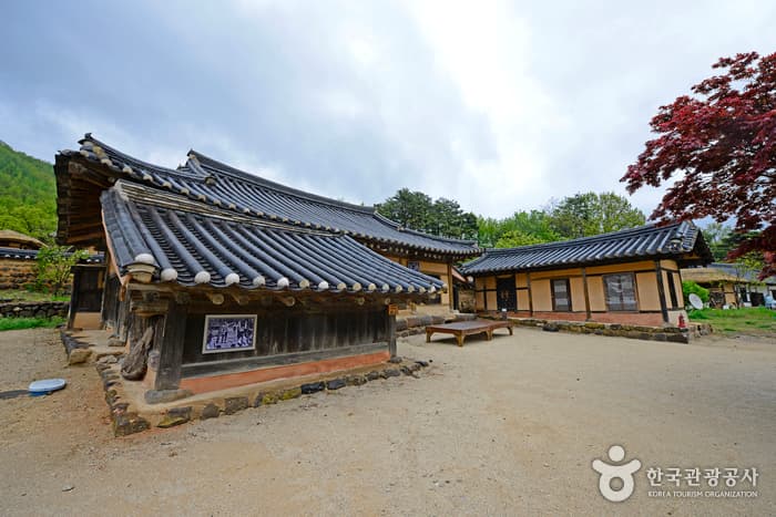 강원_고성_고성은 건재하다, 모든 것이 여전한 고성에서 보낸 1박2일_27