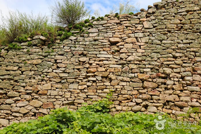 충북_보은_[마이리틀시티] 힐링이 체질이라, 비 내려도 예쁜 보은 여행_15