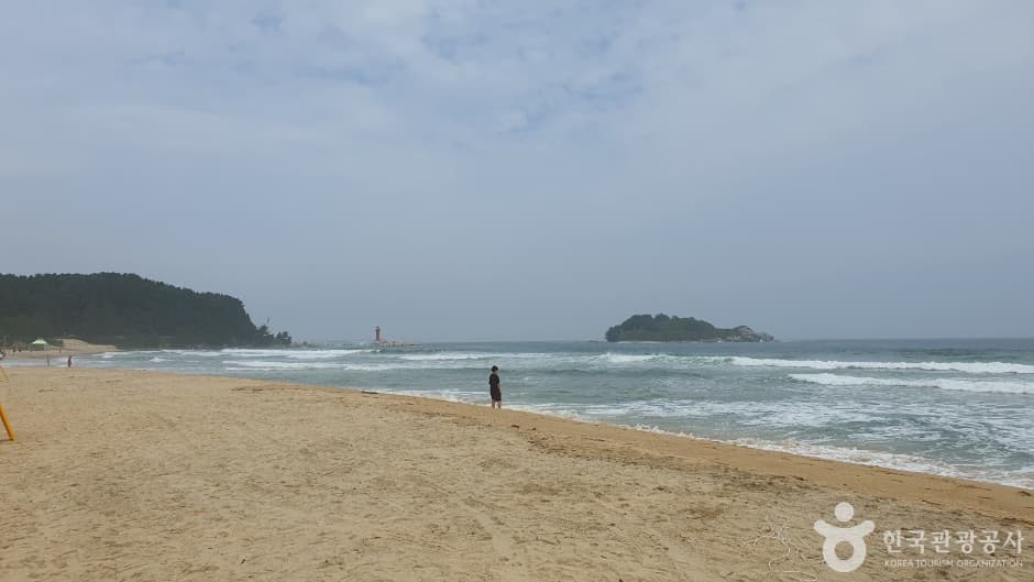 화진포해수욕장 (16)
