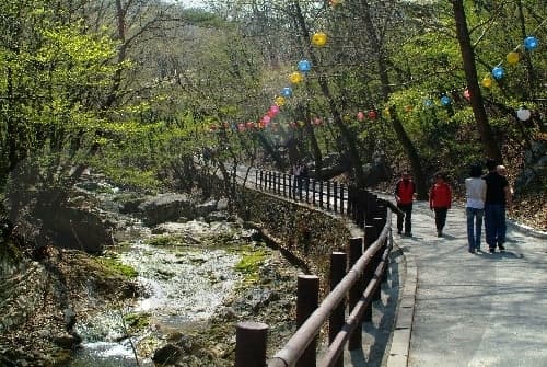 Donghaksagyegok Valley (동학사계곡)