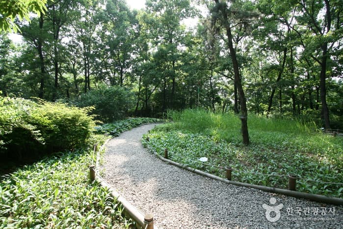 서울시 송파구 오금공원05